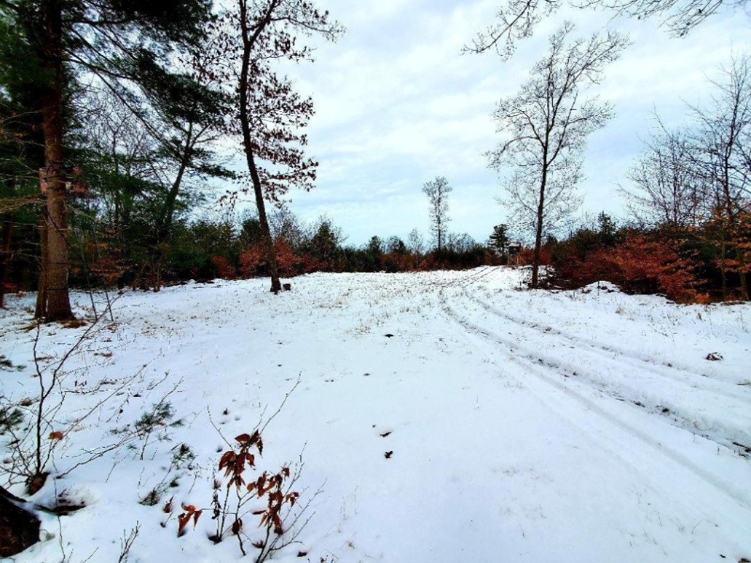 0 Kickland Road Gowen, MI 49326 - Photo 5 of 31 Kickland 3