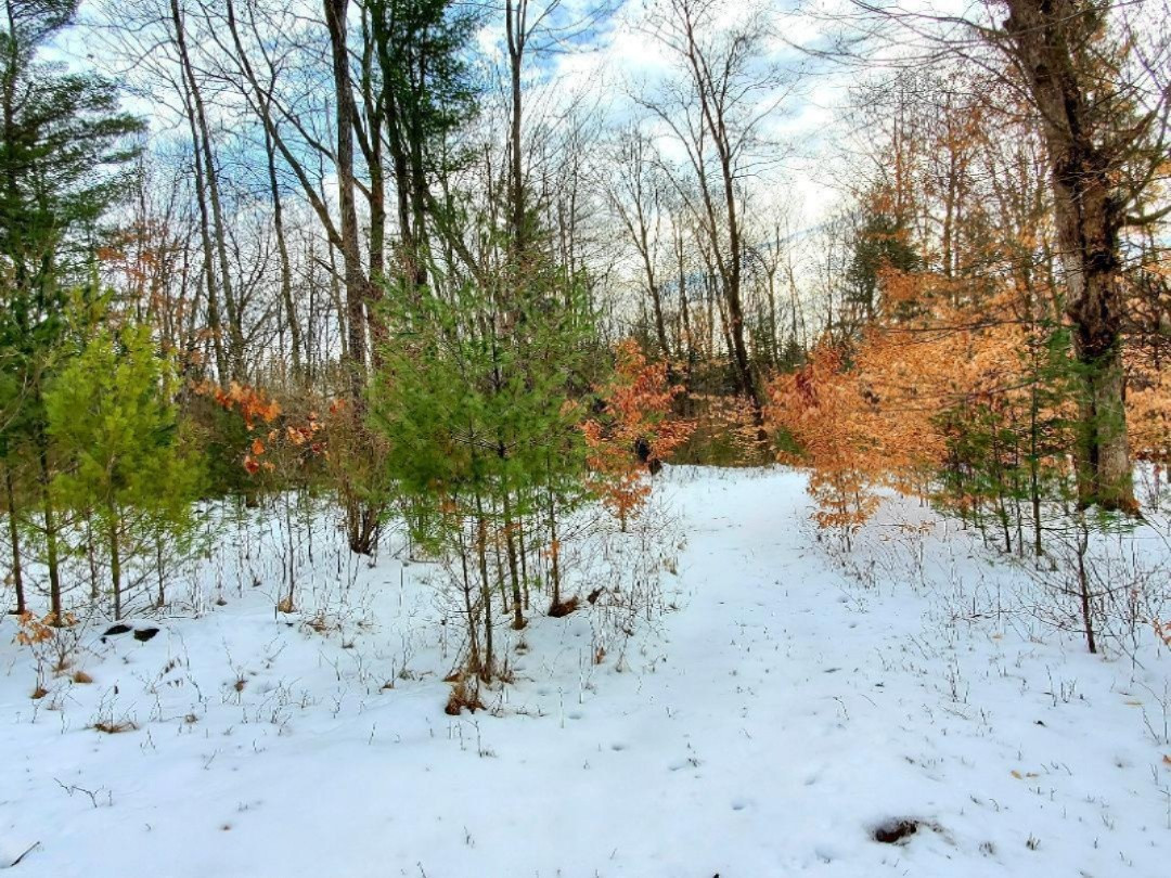 0 Kickland Road Gowen, MI 49326 - Photo 6 of 31 Kickland 4