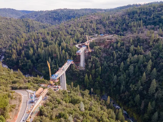 a view of a forest with a forest