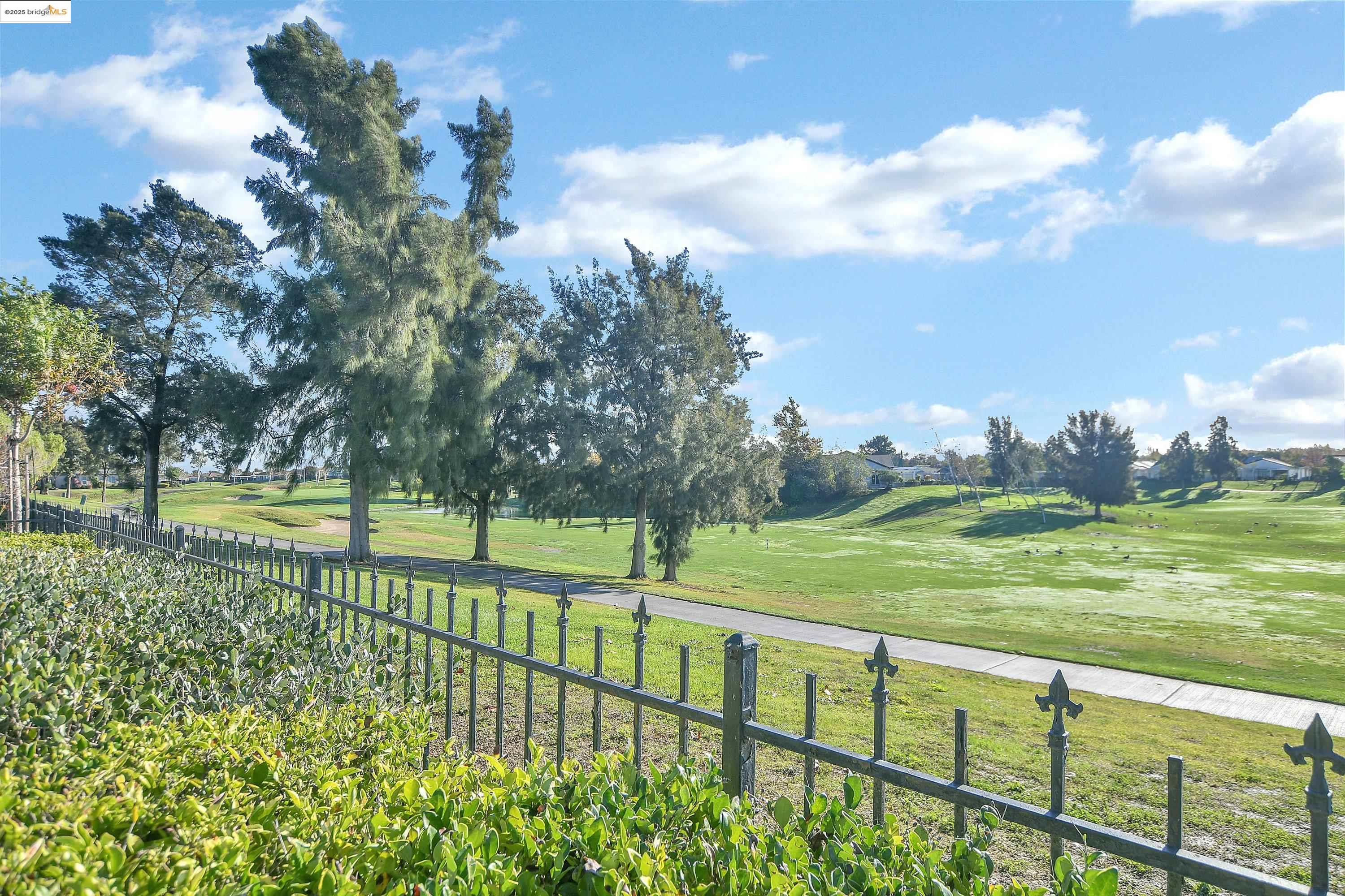 353 Desert Forest Court Rio Vista, CA 94571 - Photo 35 of 39 a view of an outdoor space and yard
