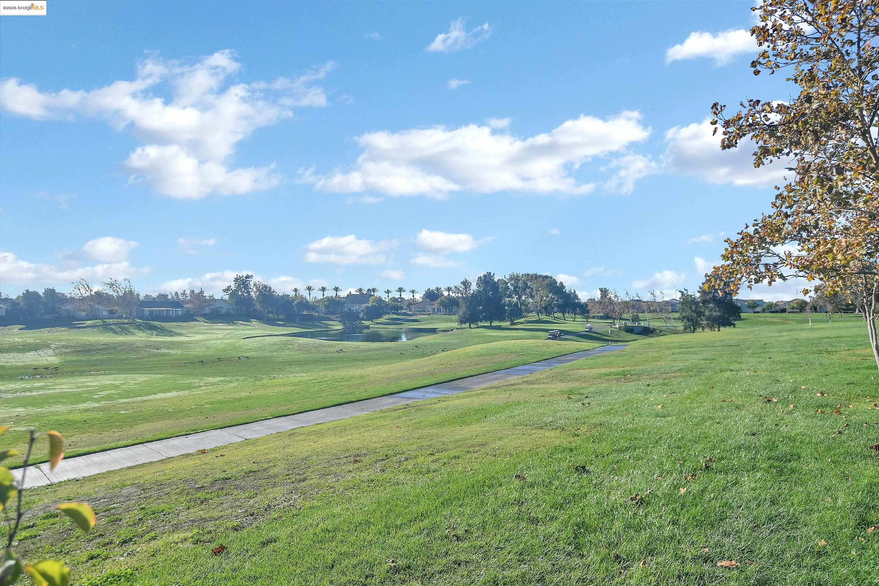 353 Desert Forest Court Rio Vista, CA 94571 - Photo 36 of 39 a view of an house with a big yard and garden