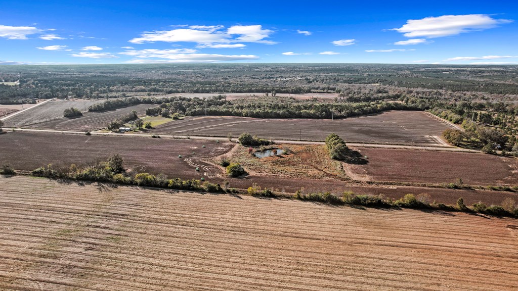 0 Gilley Mill Road Headland, AL 36345 - Photo 5 of 14