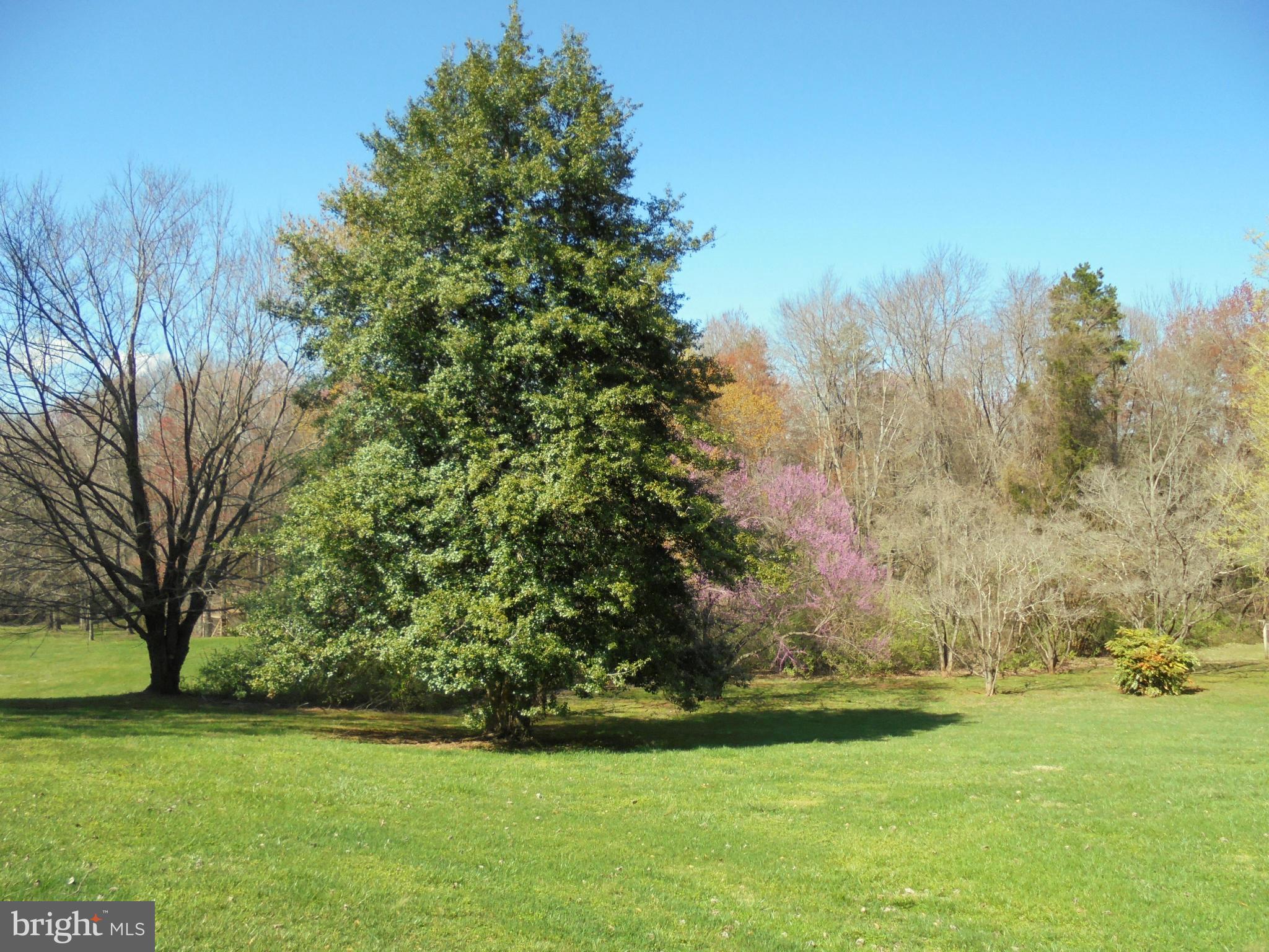 10347 Walker Road Culpeper, VA 22701 - Photo 22 of 23 View