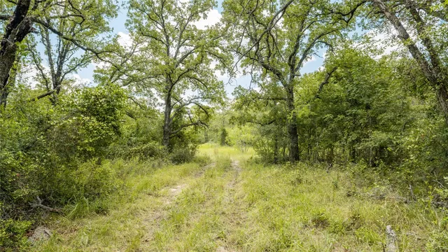 $157,900 | 418 D County Road 405, Buckholts, TX 76518