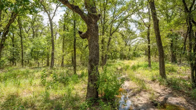 $157,900 | 418 D County Road 405, Buckholts, TX 76518