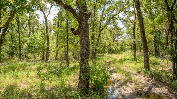 a view of an ocean from a yard