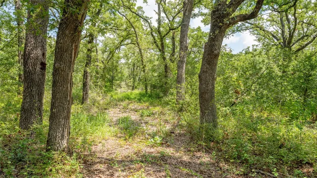 $157,900 | 418 D County Road 405, Buckholts, TX 76518