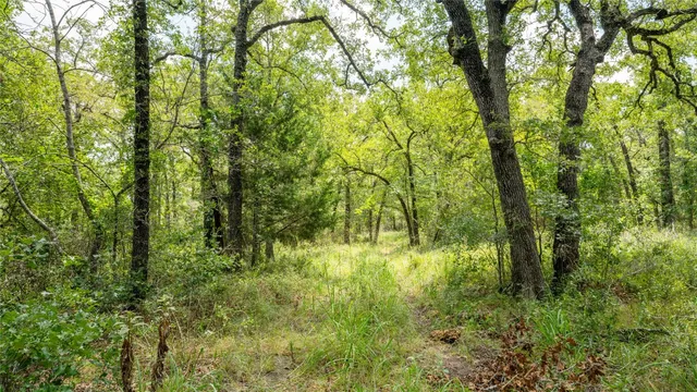 $157,900 | 418 D County Road 405, Buckholts, TX 76518