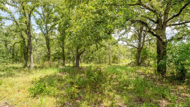 $157,900 | 418 D County Road 405, Buckholts, TX 76518