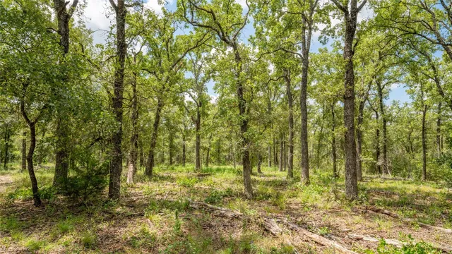 $157,900 | 418 D County Road 405, Buckholts, TX 76518