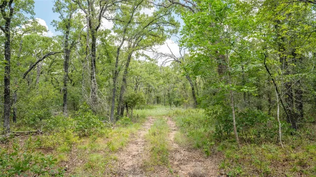 $157,900 | 418 D County Road 405, Buckholts, TX 76518