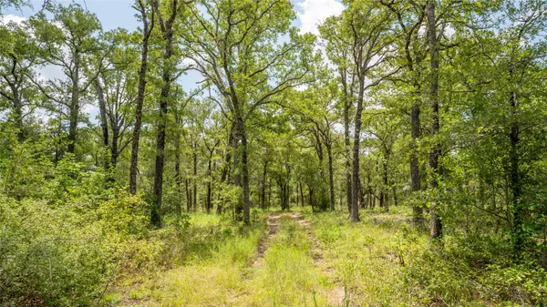 $157,900 | 418 D County Road 405, Buckholts, TX 76518