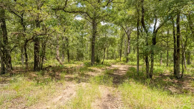 $157,900 | 418 D County Road 405, Buckholts, TX 76518