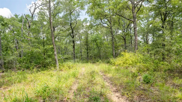 a view of yard with green space
