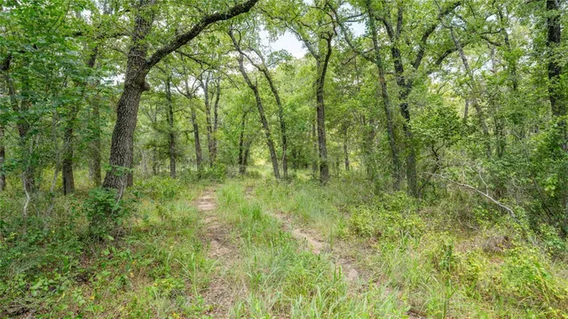 $157,900 | 418 D County Road 405, Buckholts, TX 76518