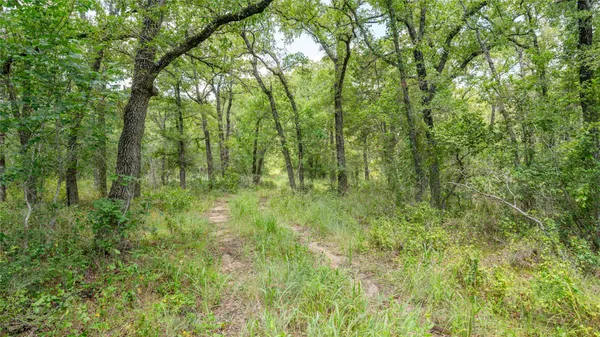 an aerial view of a houses with a yard and lake view