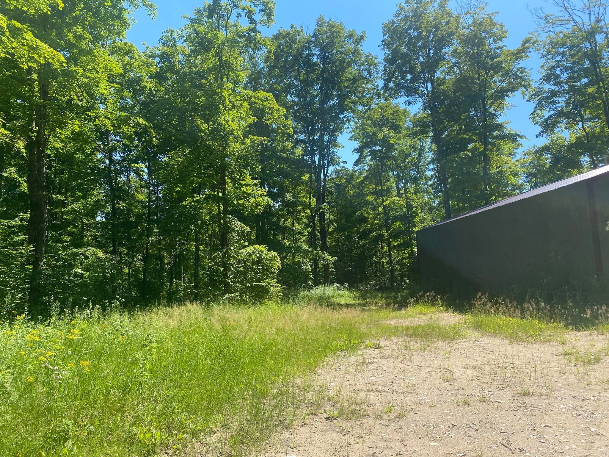 4501 E East Simmons Road Hessel, MI 49745 - Photo 3 of 36 Gallery Image 3