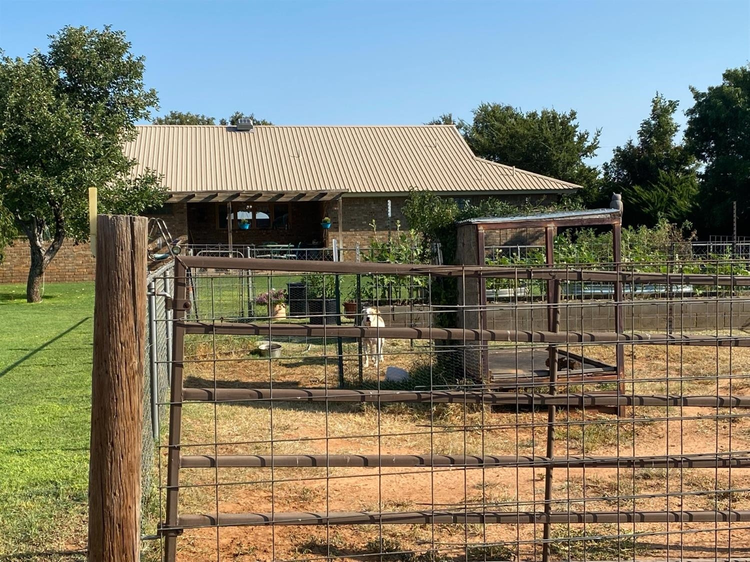 10007 Woodrow Road Ropesville, TX 79358 - Photo 23 of 44 Photo 23