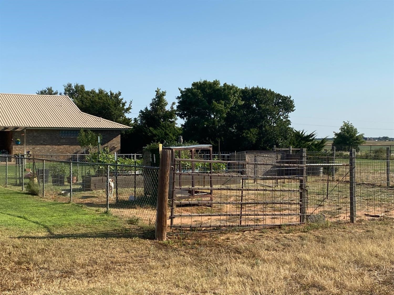 10007 Woodrow Road Ropesville, TX 79358 - Photo 24 of 44 Photo 24