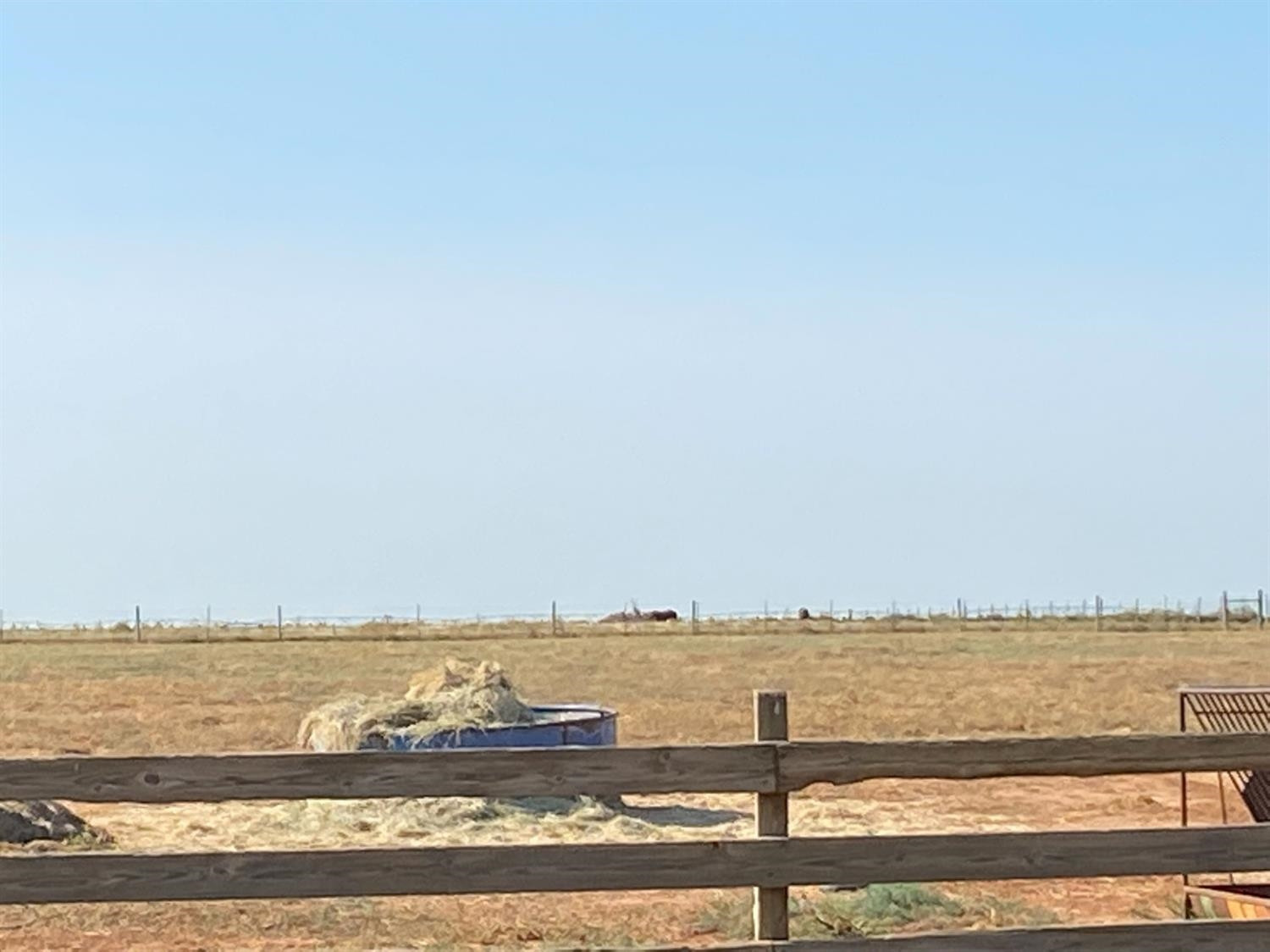 10007 Woodrow Road Ropesville, TX 79358 - Photo 39 of 44 Photo 39