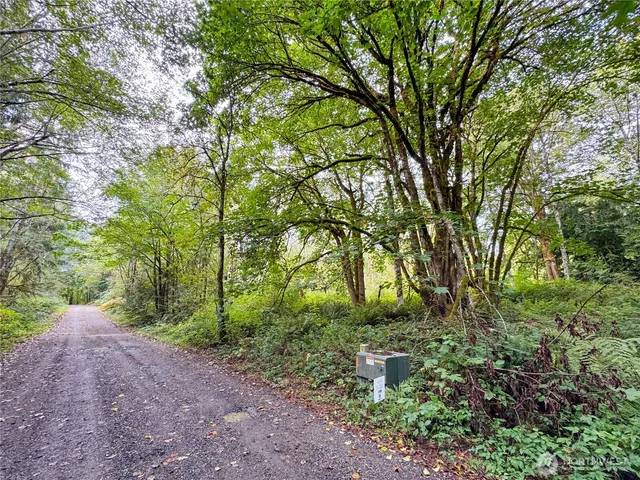 a view of backyard with green space