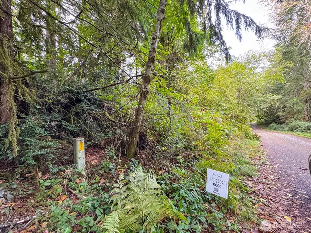 a sign that is sitting in the middle of a forest