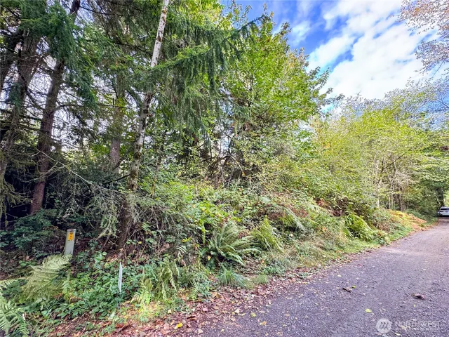 a view of a large yard with lots of green space