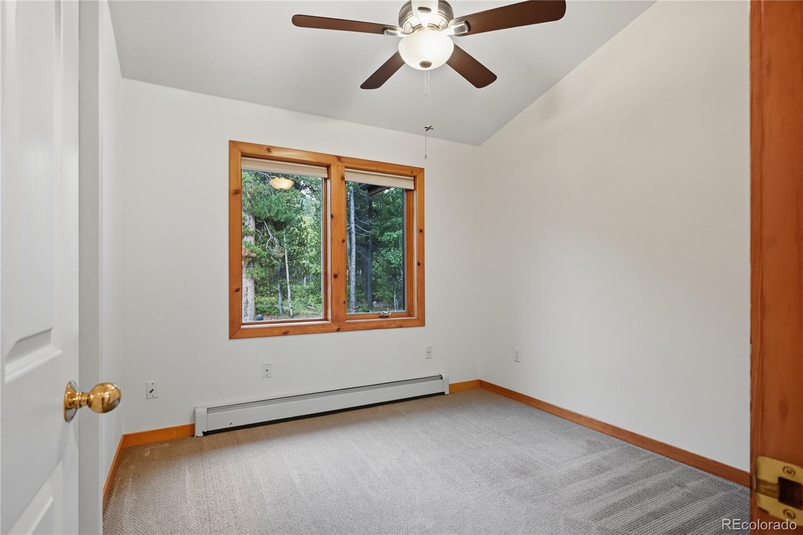 41 Damascus Road Black Hawk, CO 80422 - Photo 27 of 38