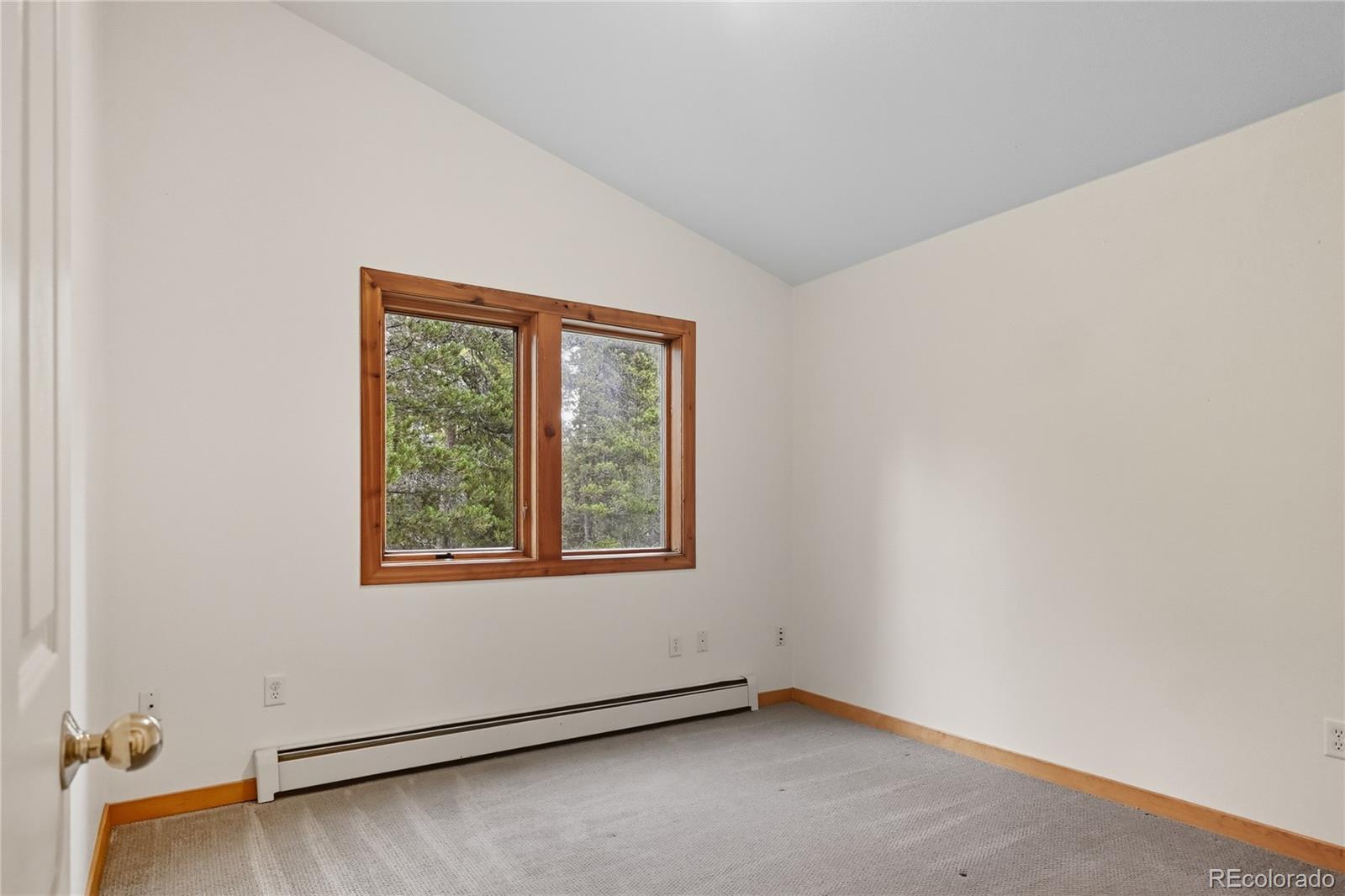 41 Damascus Road Black Hawk, CO 80422 - Photo 29 of 38