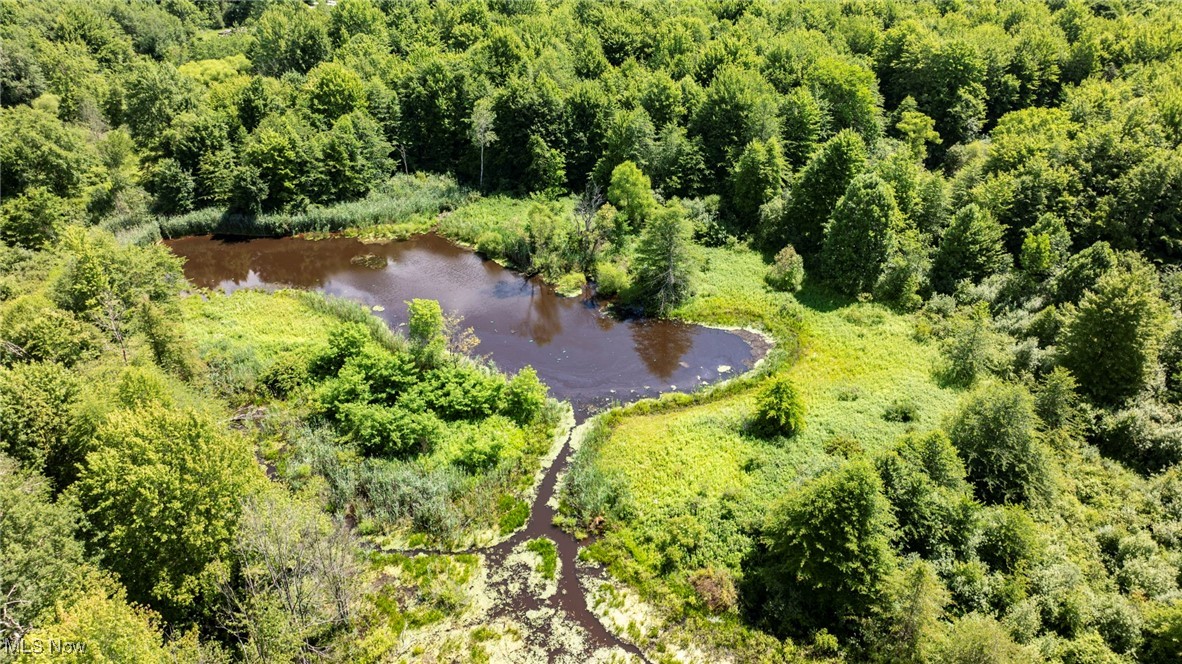 876 Clay Road Jefferson, OH 44047 - Photo 14 of 18 Bird's eye view of a forest and a nearby body of water