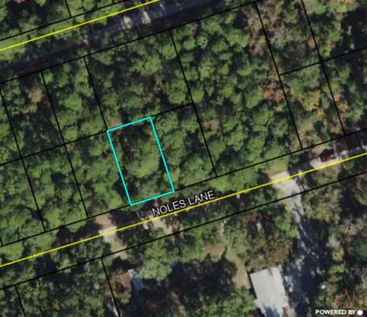 $10,000 | Lot 40 Noles Lane, Unit 1, Crawfordville, FL 32327