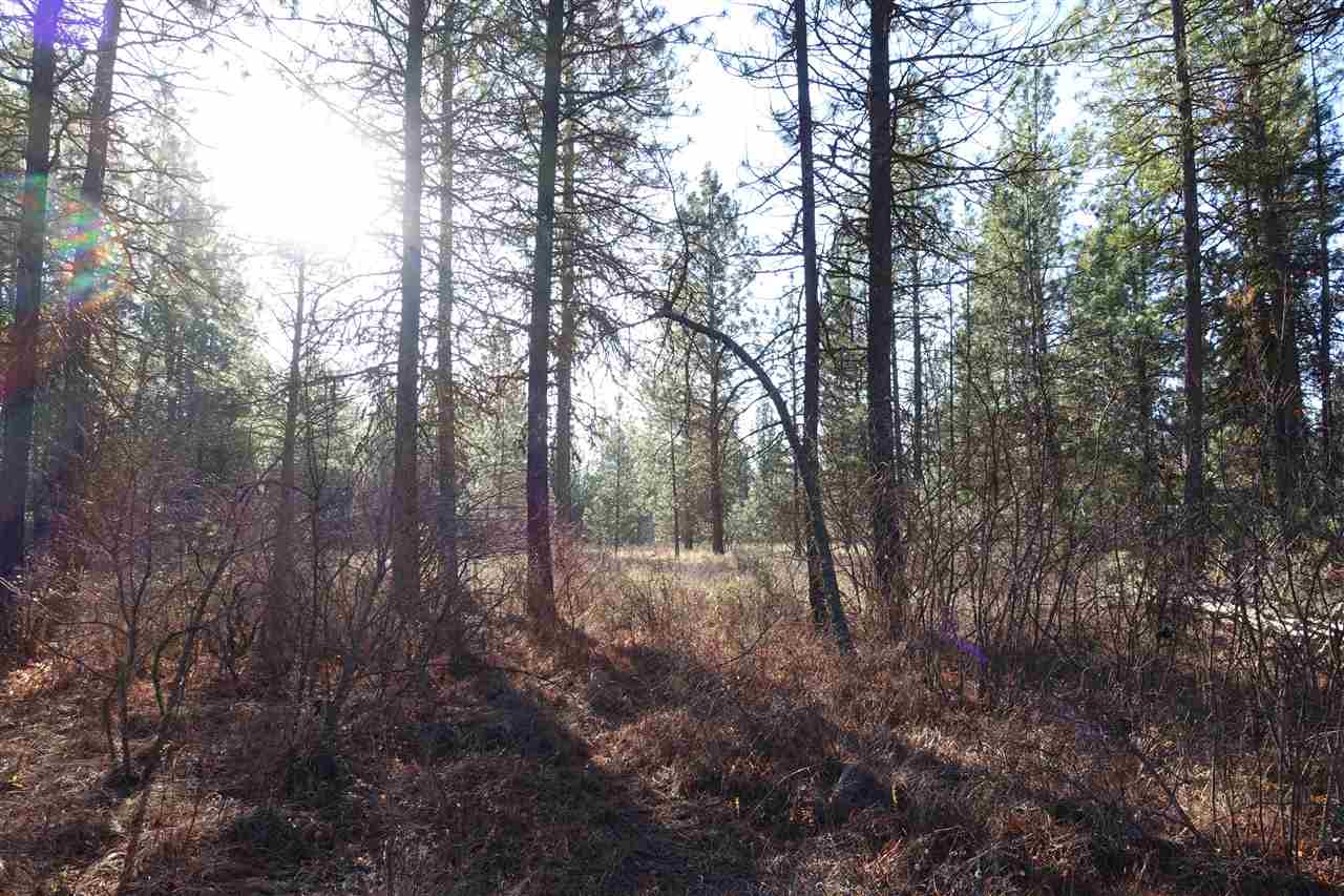 Xx Hall Creek Road Inchelium, WA 99138 - Photo 3 of 7