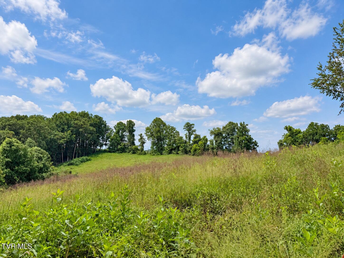 1859 Luray Road Gate City, VA 24251 - Photo 28 of 29 ChatGPT Image Sep 8, 2026, 11_08_57 AM (