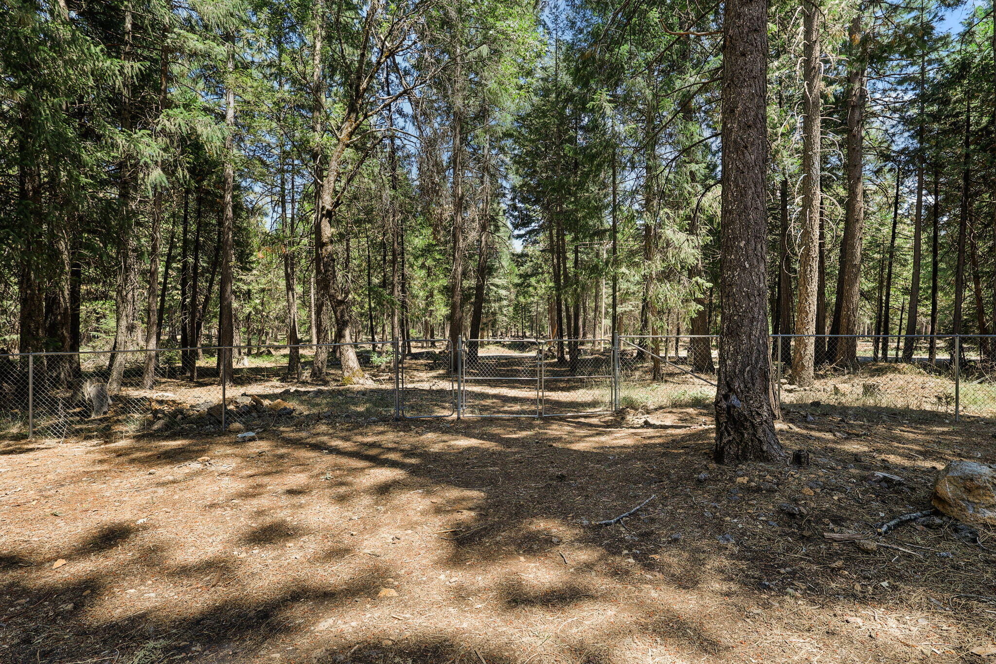 8238 Starlite Pines Road Shingletown, CA 96088 - Photo 24 of 25 a view of outdoor space with trees