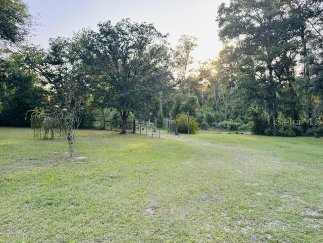 11817 Southwest 58th Street Webster, FL 33597 - Photo 36 of 46 a view of a field with trees