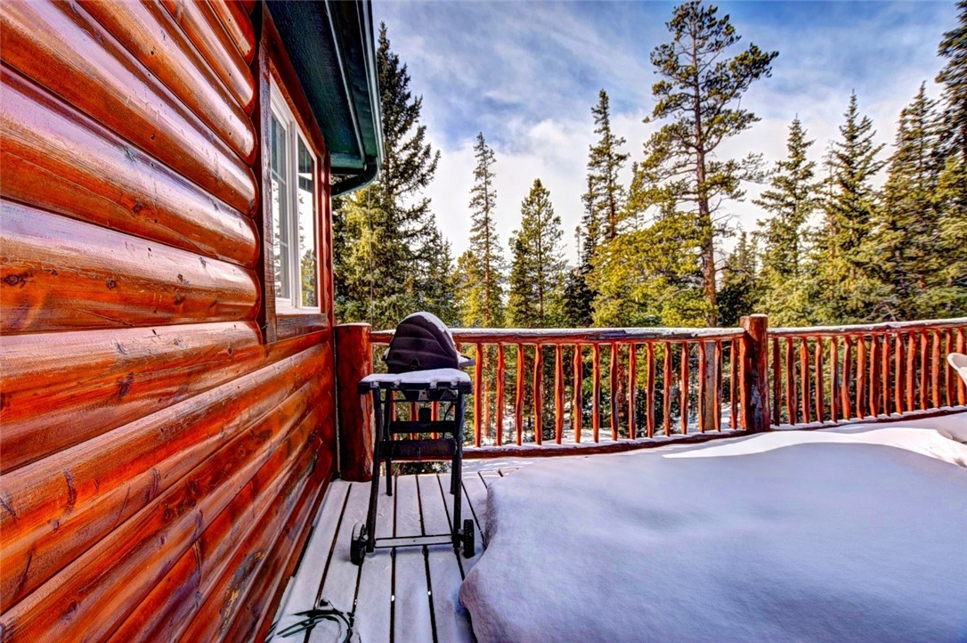 63 Whispering Pines Road Fairplay, CO 80440 - Photo 17 of 35 Gallery Image 17
