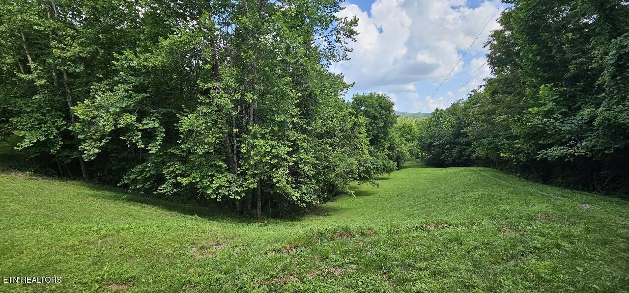 360 Front Street Luttrell, TN 37779 - Photo 40 of 53 View from drive