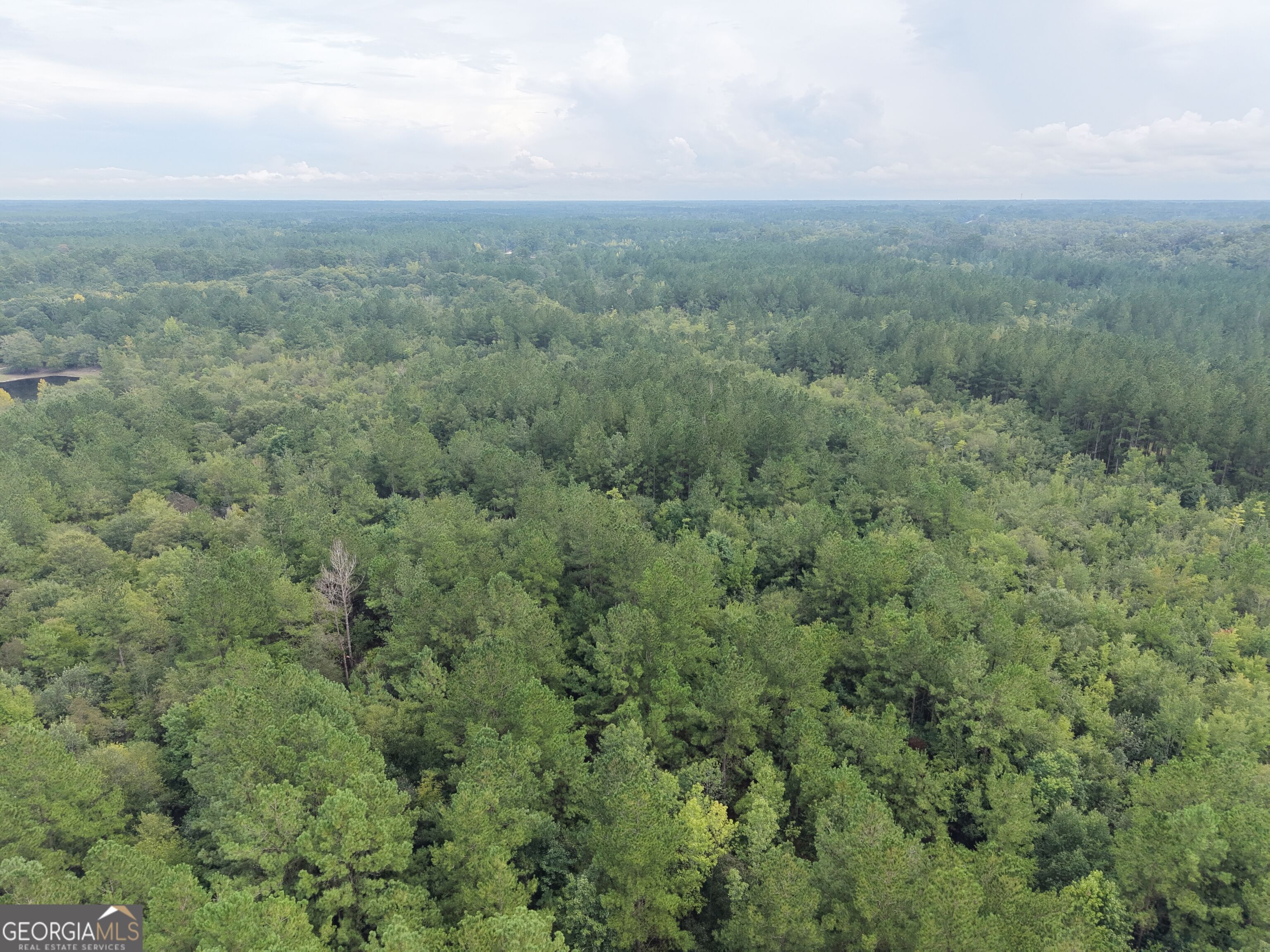 0 Jamestown Road Waycross, GA 31503 - Photo 11 of 92 Gallery Image 11