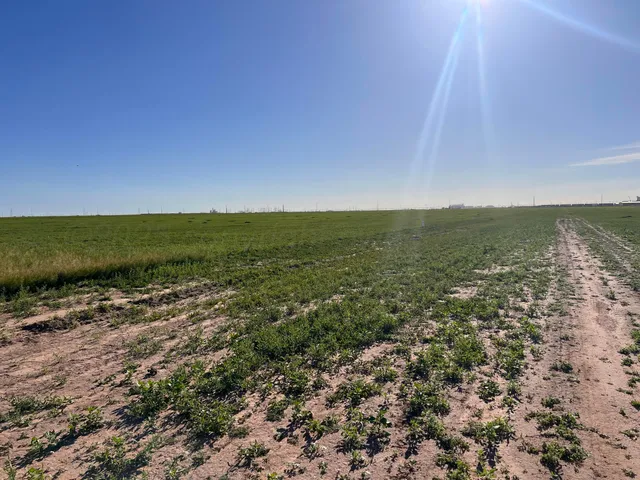 a view of an ocean beach