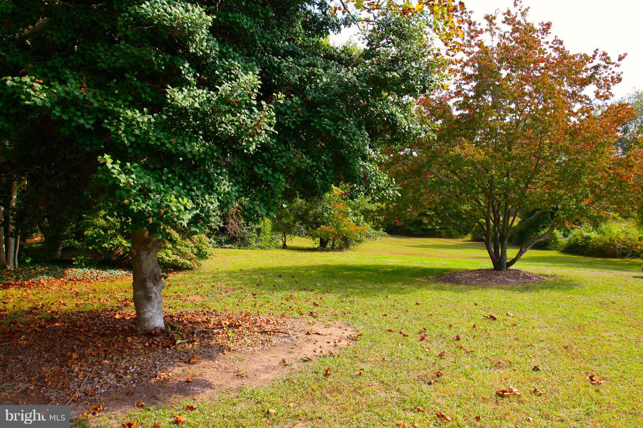 4000 Chaneyville Road Owings, MD 20736 - Photo 21 of 30 a view of a yard with a large tree