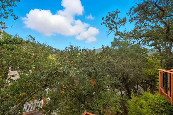 a view of a bunch of trees
