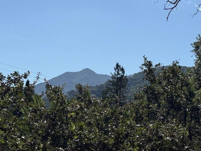 a view of a house with a mountain in the background