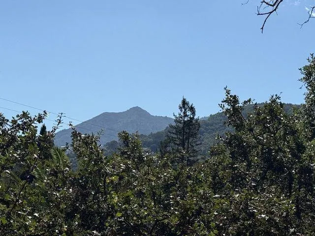 a view of a house with a mountain in the background