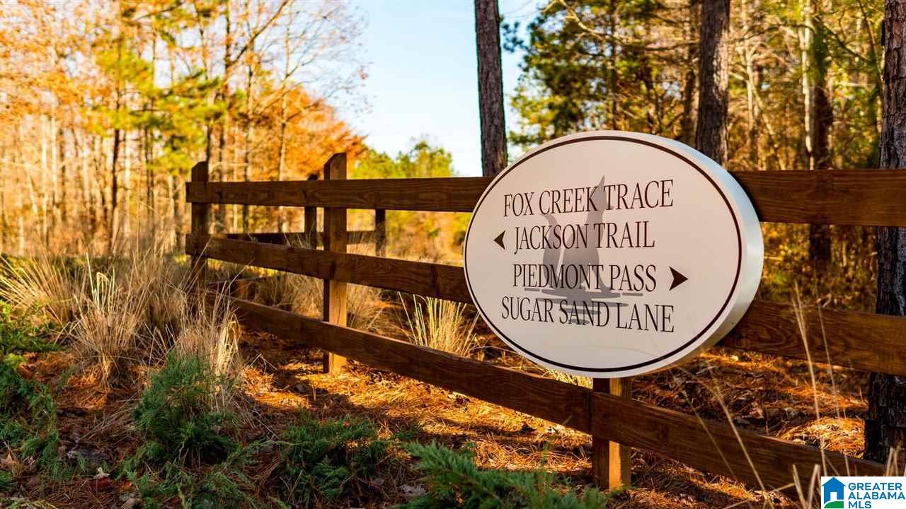 Lot # Jackson Trail, Unit 15 Lineville, AL 36266 - Photo 13 of 17