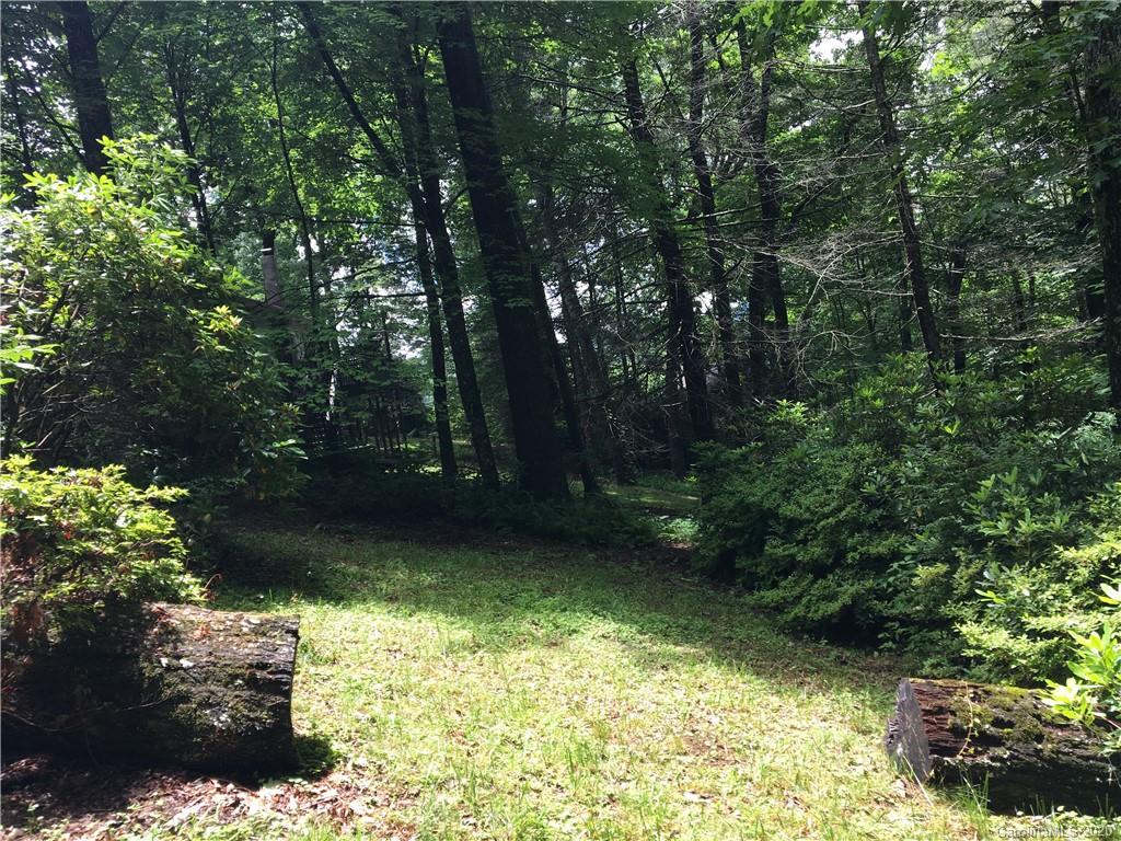 207 Perigee Road Cashiers, NC 28717 - Photo 24 of 24 Gallery Image 24