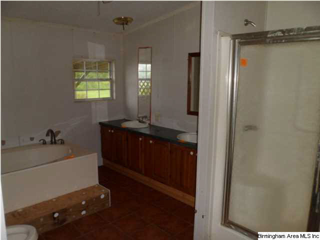 1600 Ray Wyatt Road Ashville, AL 35953 - Photo 11 of 17