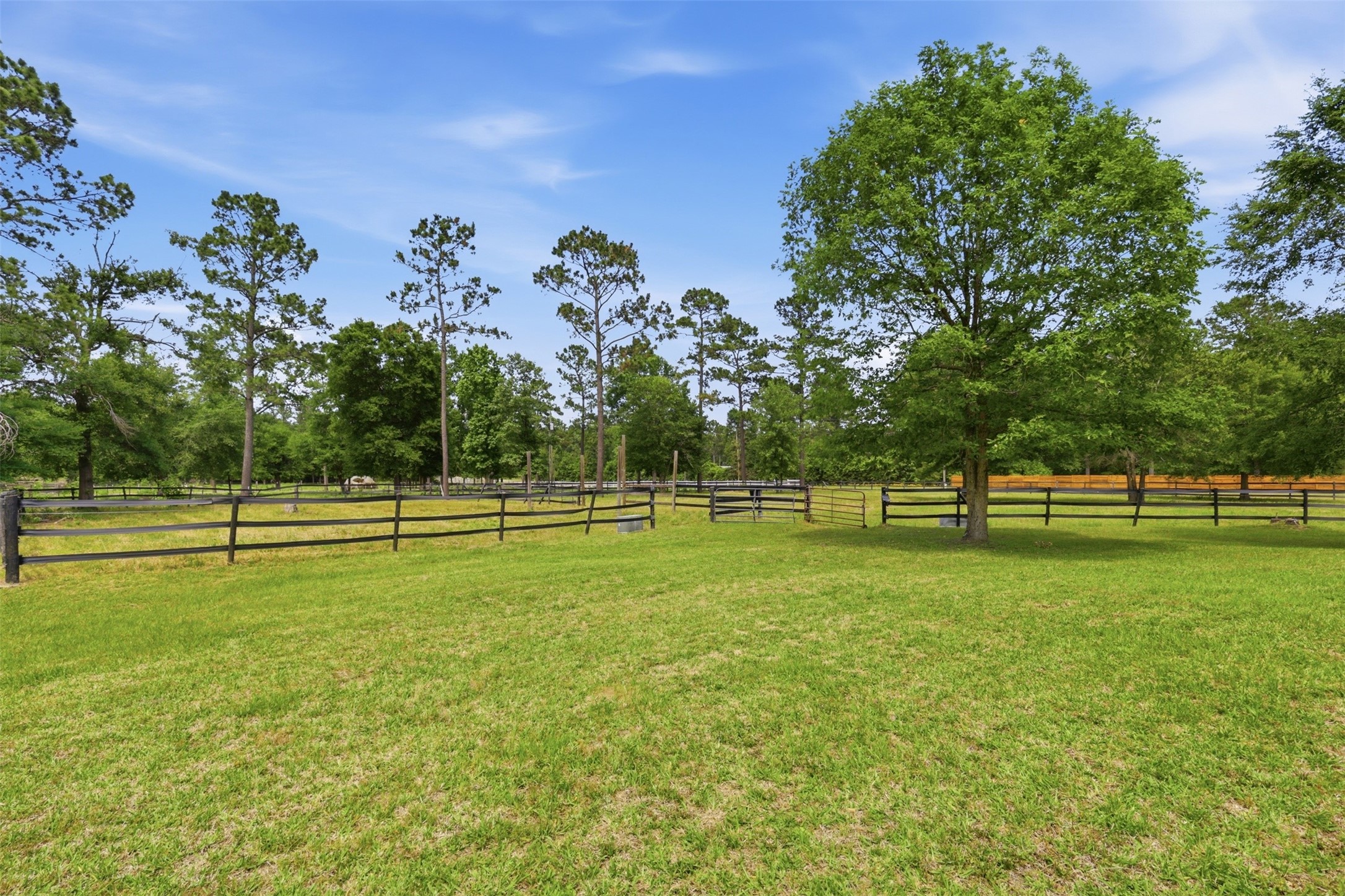 10105 Heritage Ranch Road Conroe, TX 77303 - Photo 44 of 48