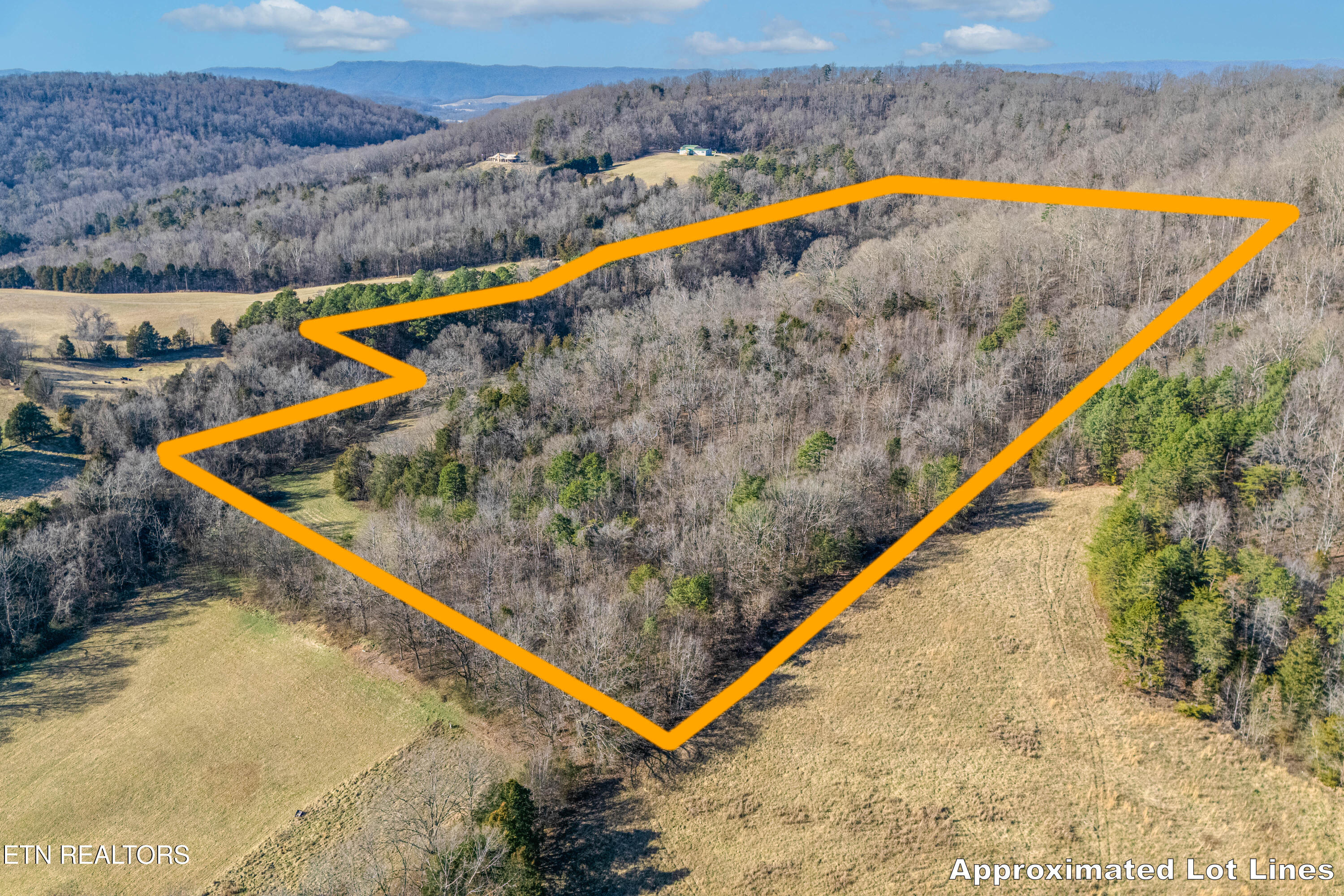 292 Burkhart Road Rutledge, TN 37861 - Photo 2 of 50 003-Lot Line A3