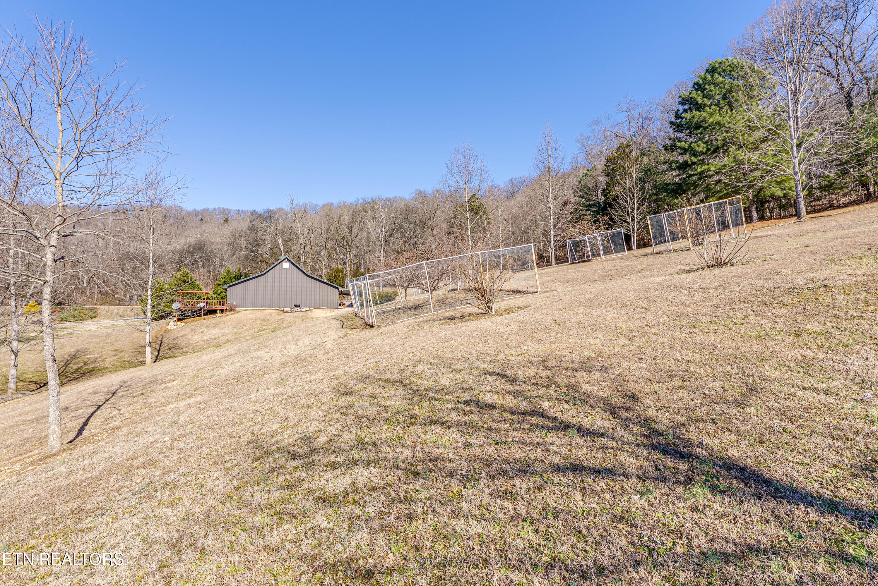 292 Burkhart Road Rutledge, TN 37861 - Photo 45 of 50 092-Orchird A4