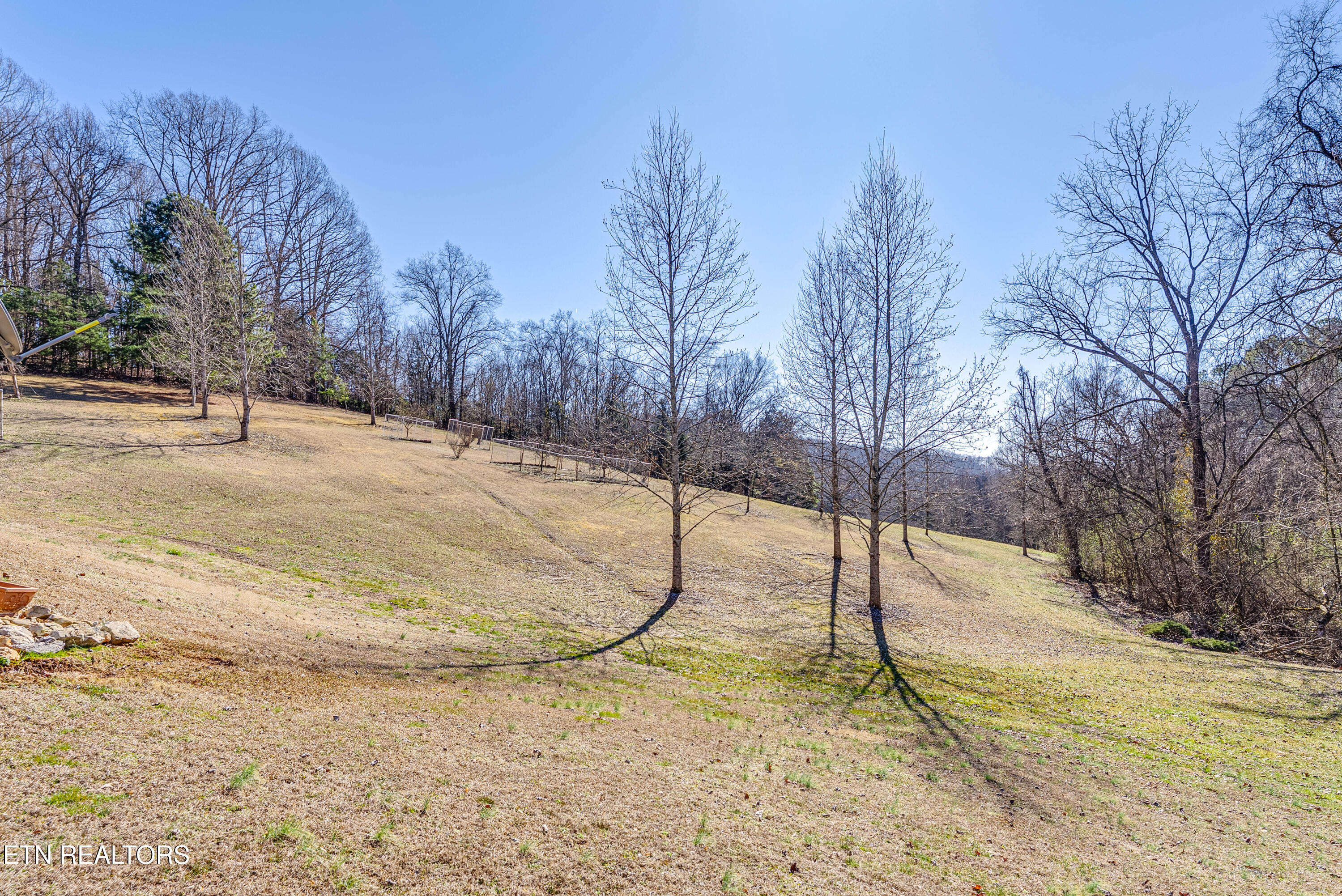 292 Burkhart Road Rutledge, TN 37861 - Photo 46 of 50 093-Orchird A5